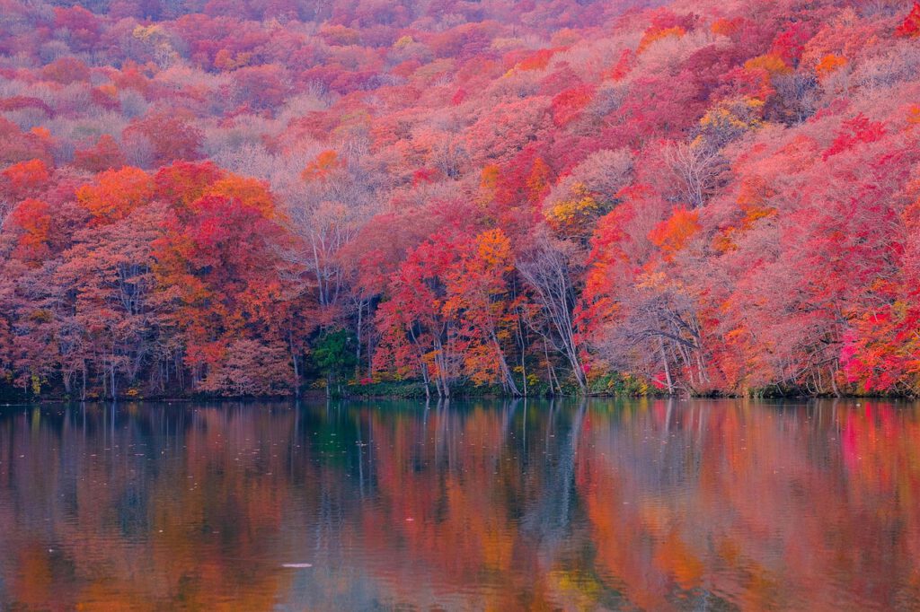 All Seasons